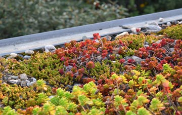 the cost of Jugbank green roof installation