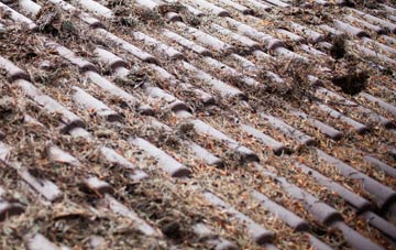 Jugbank roof cleaning companies