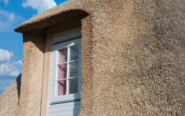 Jugbank thatch roof disadvantages