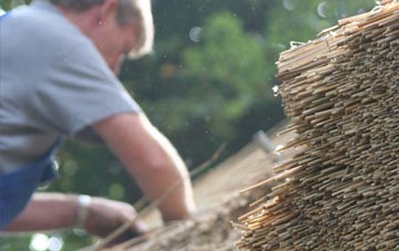 professional Jugbank thatchers