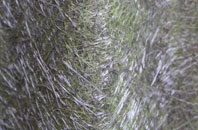 Jugbank fibreglass roof work